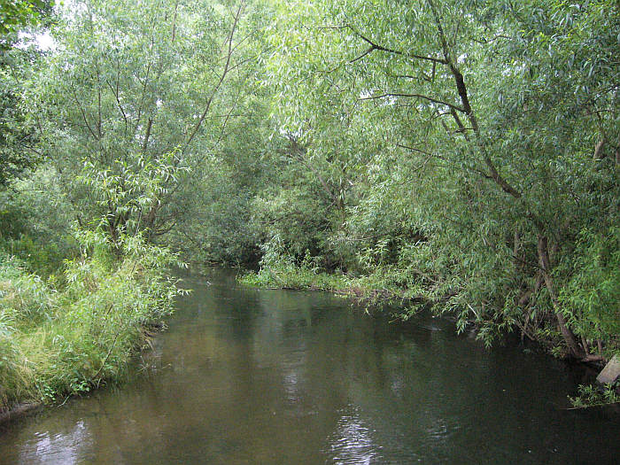 Moje Wejherowo
